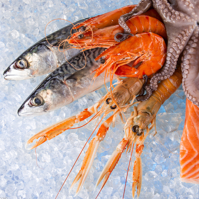 新鮮水產(chǎn)龍蝦三文魚(yú)冷鏈速發(fā)